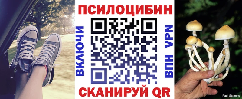 закладки  МЕГА ссылки  Псилоцибиновые грибы Psilocybe  Собинка 